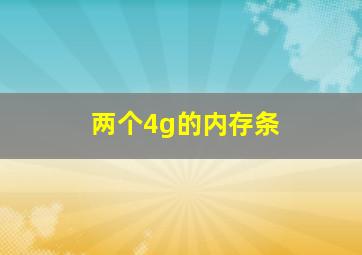 两个4g的内存条