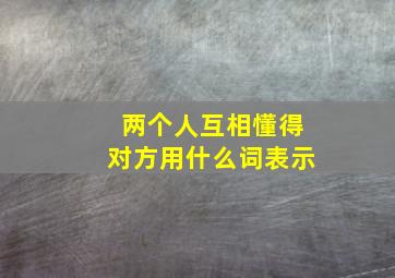 两个人互相懂得对方用什么词表示