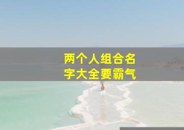 两个人组合名字大全要霸气