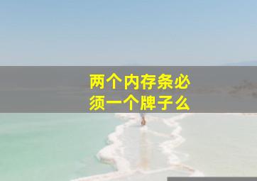 两个内存条必须一个牌子么