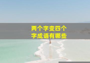 两个字变四个字成语有哪些