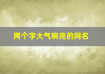 两个字大气响亮的网名