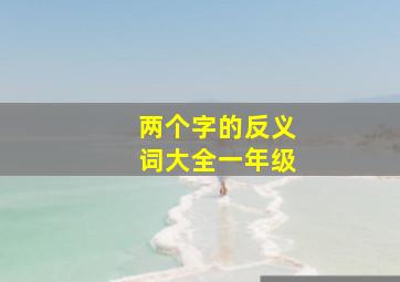 两个字的反义词大全一年级