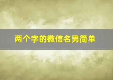 两个字的微信名男简单