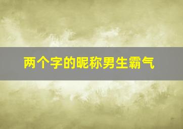 两个字的昵称男生霸气