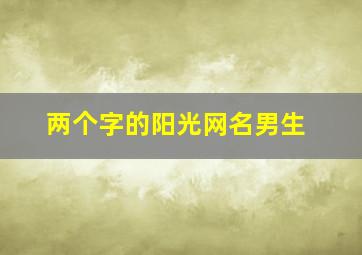 两个字的阳光网名男生