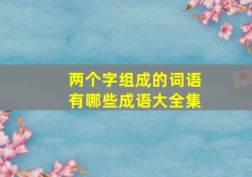 两个字组成的词语有哪些成语大全集