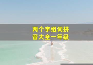 两个字组词拼音大全一年级