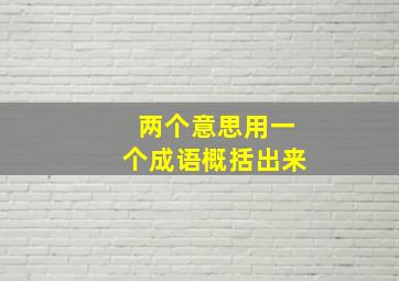 两个意思用一个成语概括出来