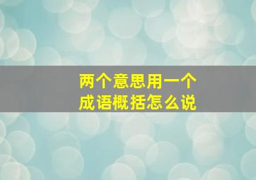 两个意思用一个成语概括怎么说