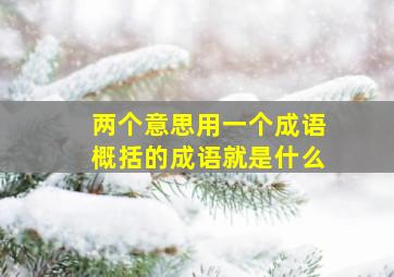 两个意思用一个成语概括的成语就是什么