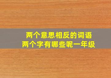 两个意思相反的词语两个字有哪些呢一年级