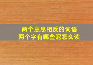 两个意思相反的词语两个字有哪些呢怎么读