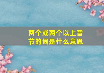 两个或两个以上音节的词是什么意思