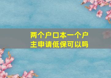 两个户口本一个户主申请低保可以吗