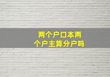 两个户口本两个户主算分户吗