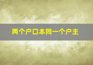 两个户口本同一个户主