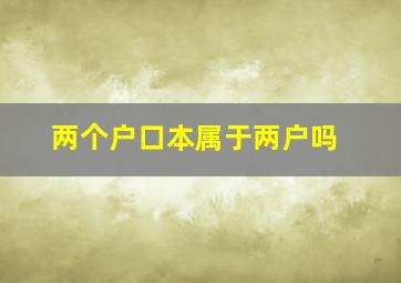 两个户口本属于两户吗