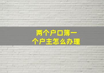 两个户口簿一个户主怎么办理