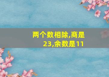 两个数相除,商是23,余数是11