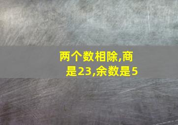 两个数相除,商是23,余数是5