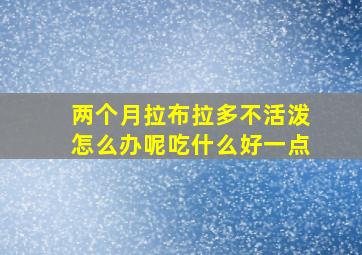 两个月拉布拉多不活泼怎么办呢吃什么好一点