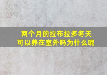 两个月的拉布拉多冬天可以养在室外吗为什么呢