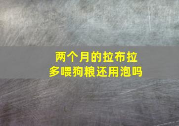 两个月的拉布拉多喂狗粮还用泡吗