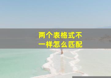 两个表格式不一样怎么匹配