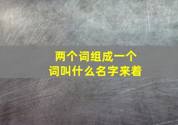 两个词组成一个词叫什么名字来着