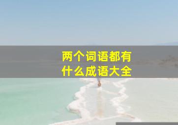 两个词语都有什么成语大全