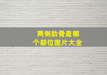 两侧肋骨是哪个部位图片大全