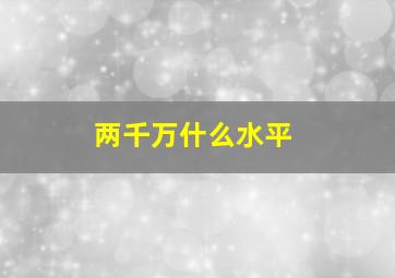 两千万什么水平