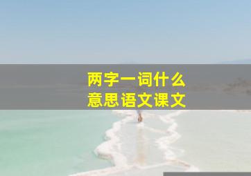 两字一词什么意思语文课文