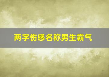 两字伤感名称男生霸气