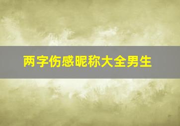 两字伤感昵称大全男生