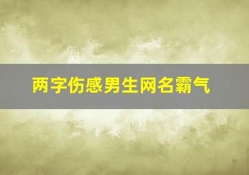 两字伤感男生网名霸气