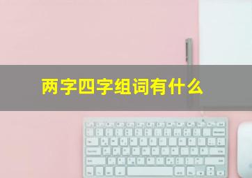 两字四字组词有什么