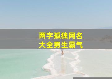 两字孤独网名大全男生霸气