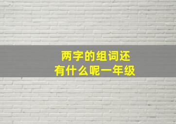 两字的组词还有什么呢一年级