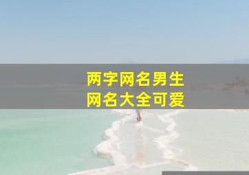 两字网名男生网名大全可爱