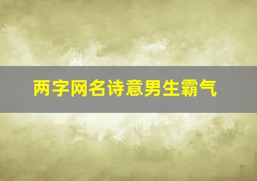 两字网名诗意男生霸气