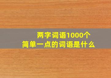 两字词语1000个简单一点的词语是什么