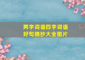 两字词语四字词语好句摘抄大全图片