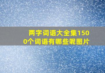 两字词语大全集1500个词语有哪些呢图片