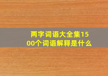 两字词语大全集1500个词语解释是什么