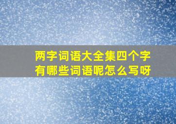 两字词语大全集四个字有哪些词语呢怎么写呀