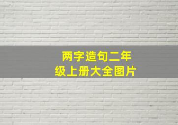 两字造句二年级上册大全图片