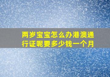 两岁宝宝怎么办港澳通行证呢要多少钱一个月