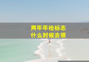 两年年检标志什么时候去领